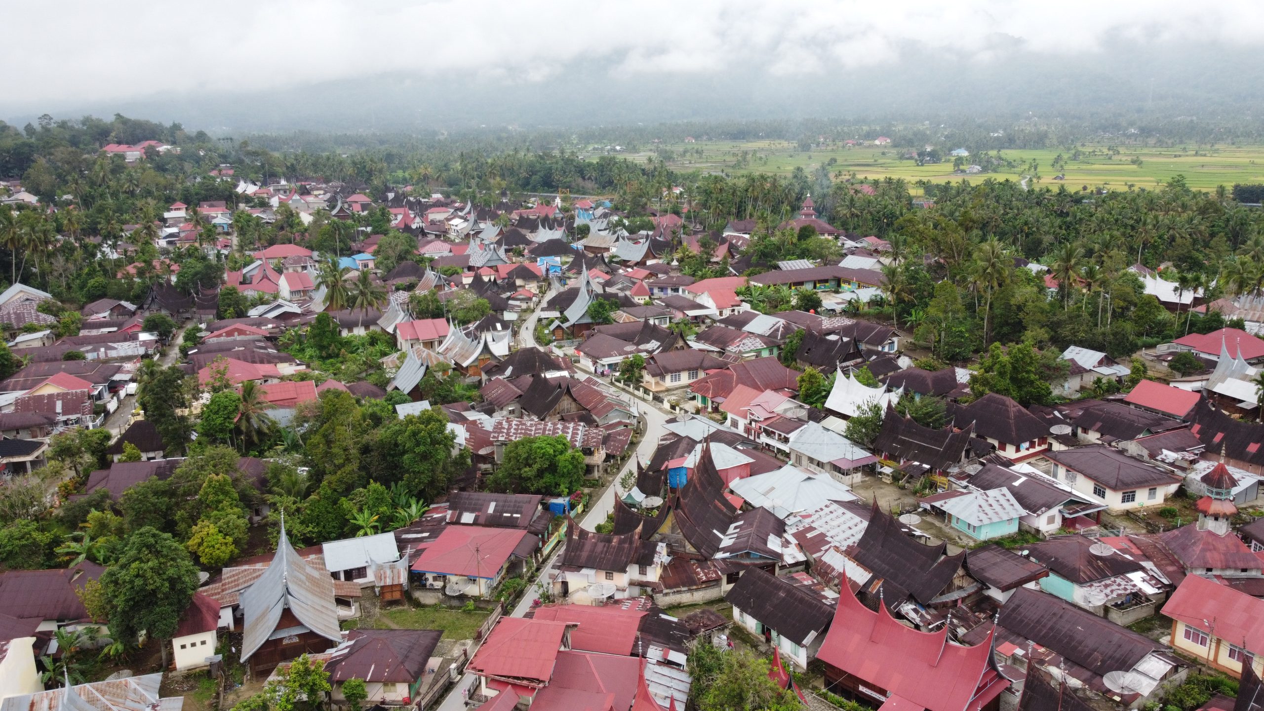Community Landscape